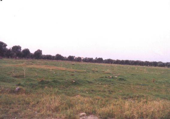 Terreno a Corigliano-rossano in LOC. CROSETTO - Foto 2
