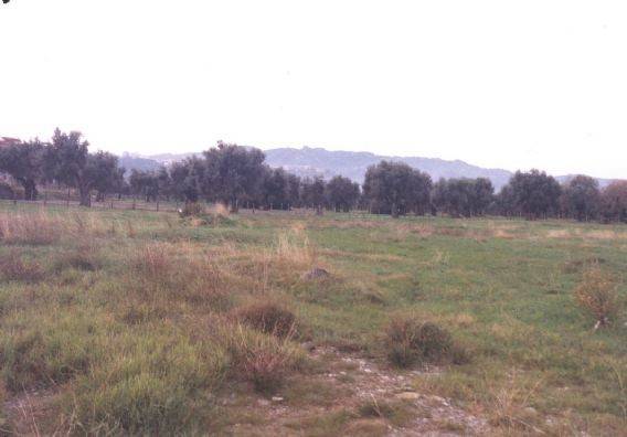 Terreno a Corigliano-rossano in LOC. CROSETTO - Foto 3