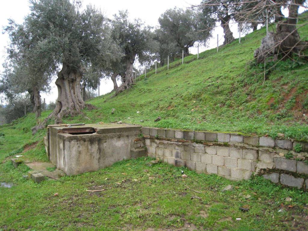 Terreno a Corigliano-rossano in C.DA S.ANTONIO - Foto 2