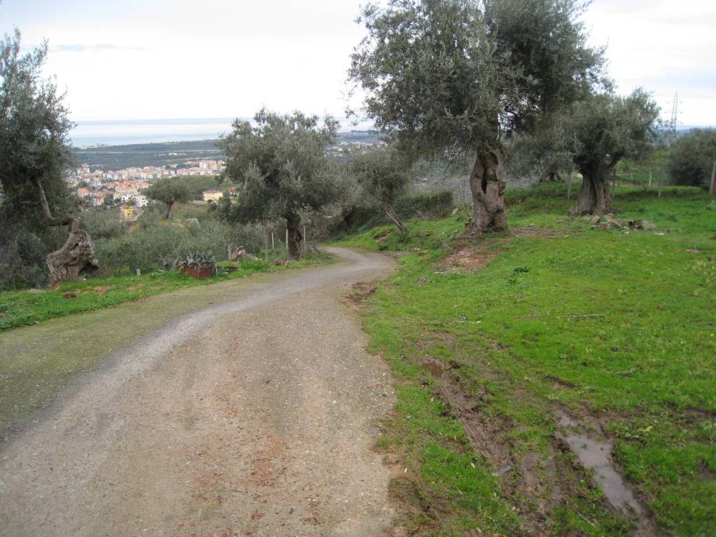 Terreno a Corigliano-rossano in C.DA S.ANTONIO - Foto 3