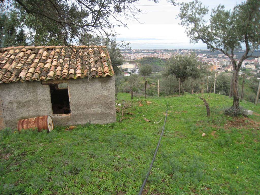Terreno a Corigliano-rossano in C.DA S.ANTONIO - Foto 5