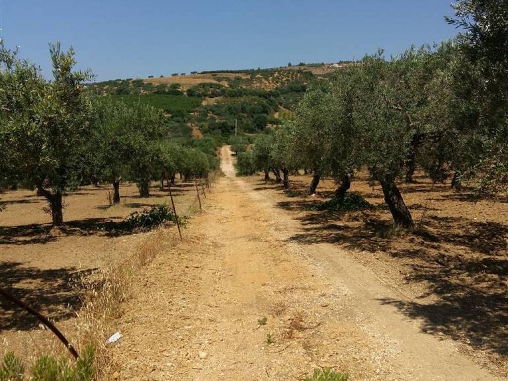 Rustico / casale a Sciacca - Foto 3
