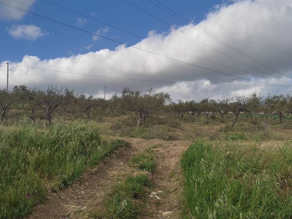 Terreno a Sciacca - Foto 2