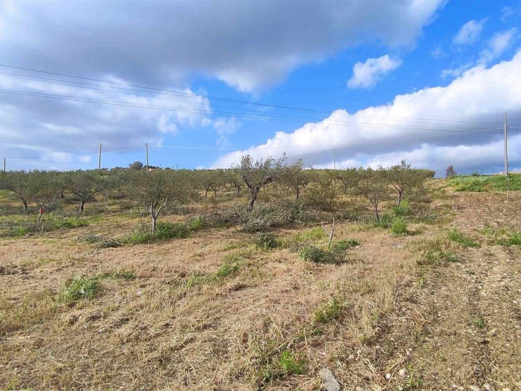 Terreno a Sciacca - Foto 4
