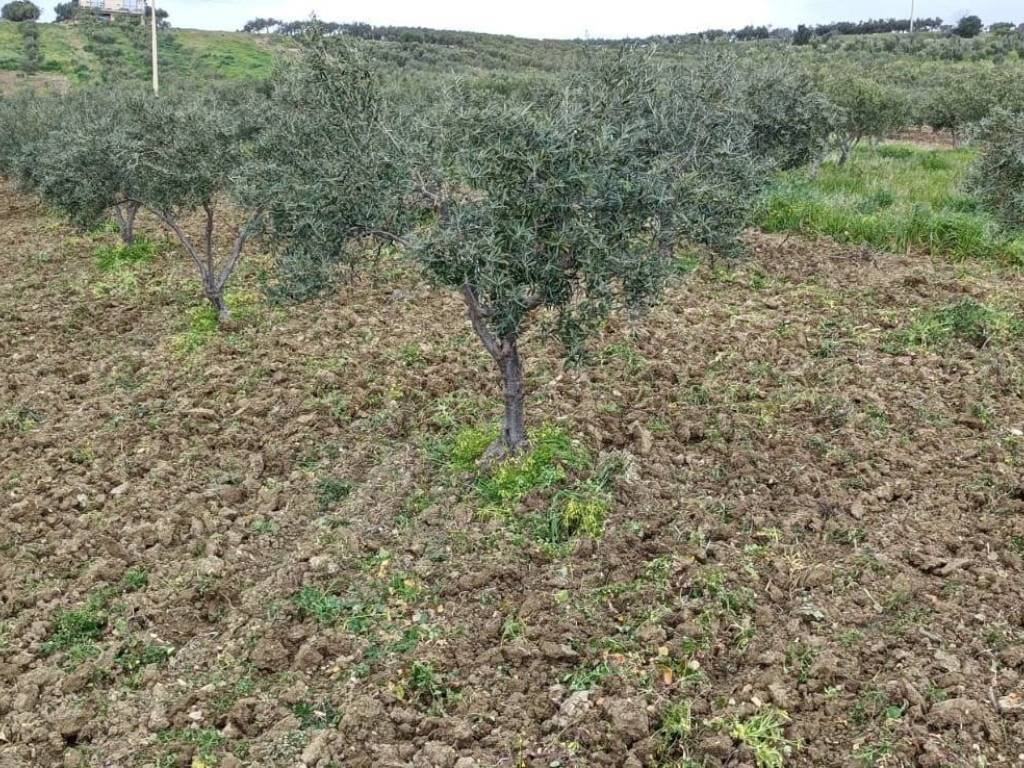 Terreno a Sciacca - Foto 2