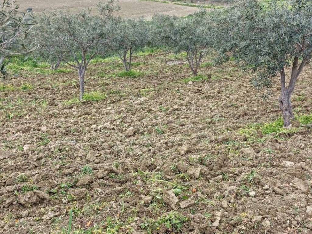 Terreno a Sciacca - Foto 3