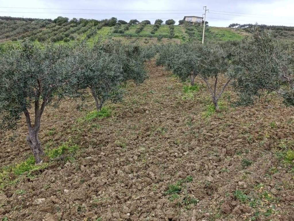 Terreno a Sciacca - Foto 4