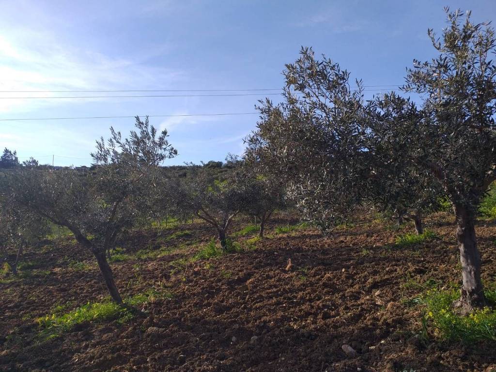 Terreno a Sciacca - Foto 5