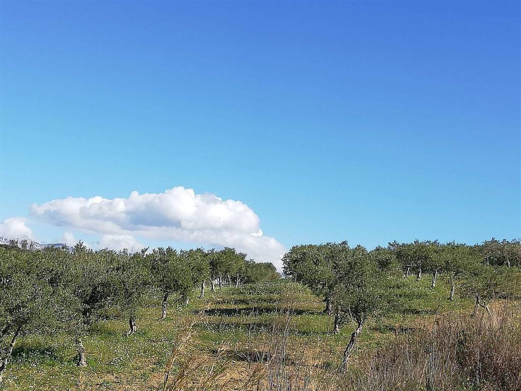 Terreno a Sciacca - Foto 2