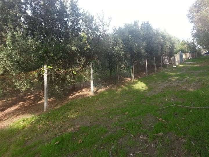 Terreno a Corigliano-rossano in LOC. FARO - Foto 4