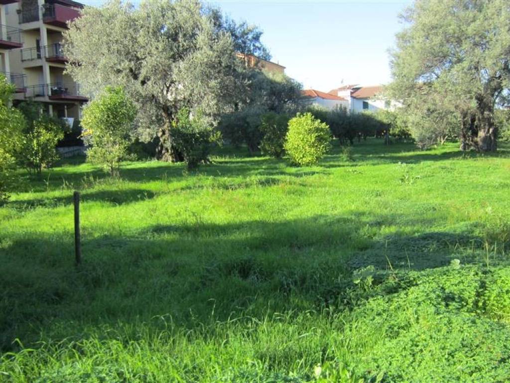 Terreno a Crosia in VIA KENNEDY - Foto 2