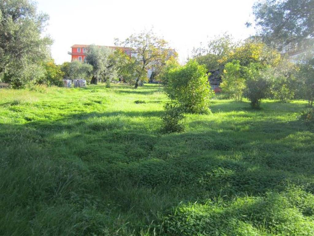 Terreno a Crosia in VIA KENNEDY - Foto 4