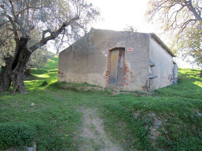 Casa indipendente a Corigliano-rossano in C.DA FELLINO - Foto 2