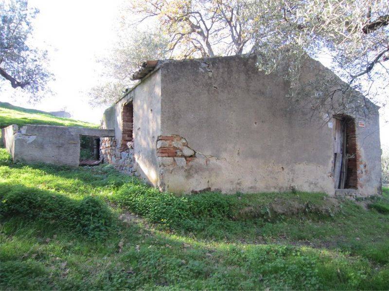 Casa indipendente a Corigliano-rossano in C.DA FELLINO - Foto 3