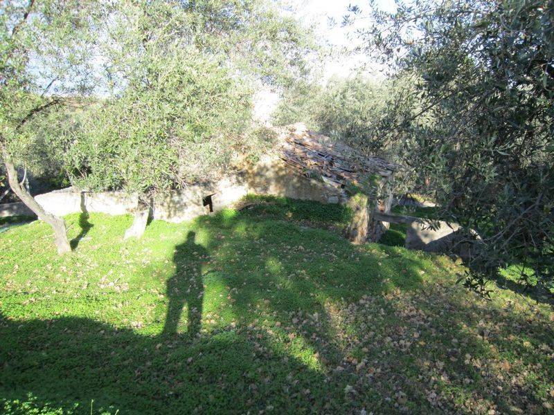 Casa indipendente a Corigliano-rossano in C.DA FELLINO - Foto 4