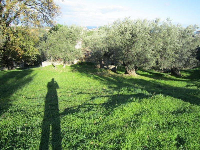 Casa indipendente a Corigliano-rossano in C.DA FELLINO - Foto 5
