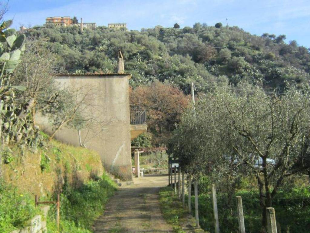 Terreno a Corigliano-rossano in CONTRADA CELADI - LOC. SANTO STEFANO - Foto 2