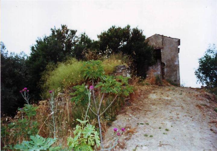 Terreno a Caloveto in LOC. COZZO ACCETTA - Foto 4