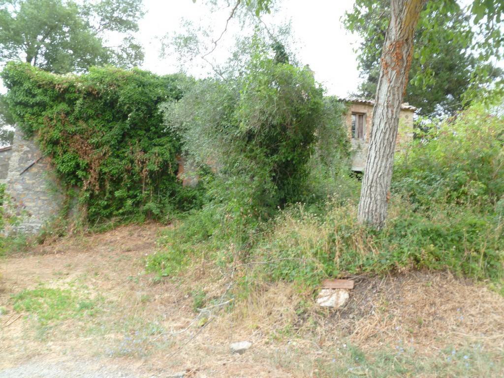 Rustico / casale a San casciano dei bagni in Via delle Coste - Foto 3