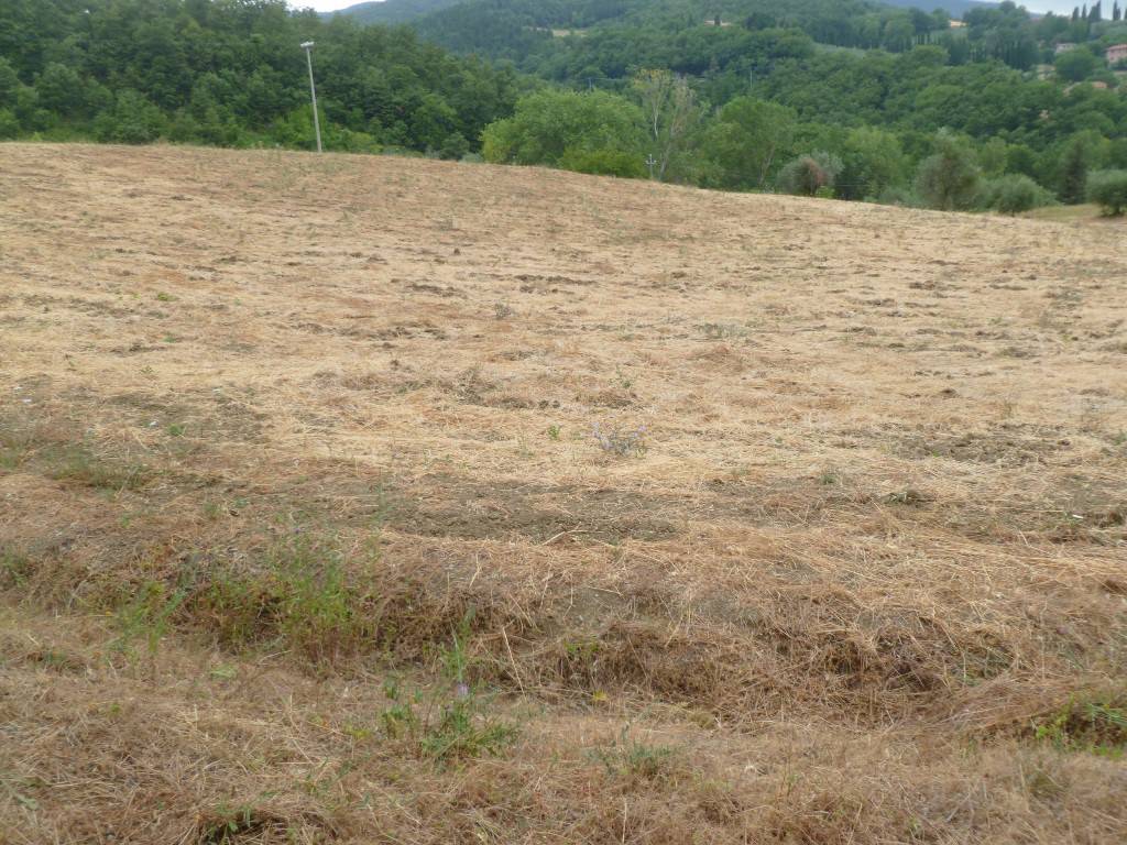 Rustico / casale a San casciano dei bagni in Via delle Coste - Foto 4