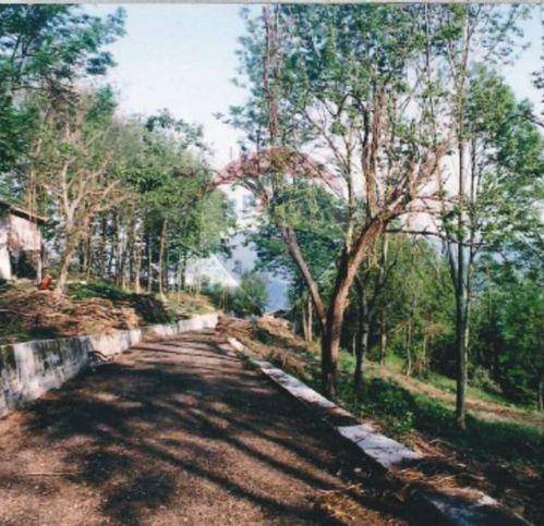 Terreno a Vito d'asio - Foto 4