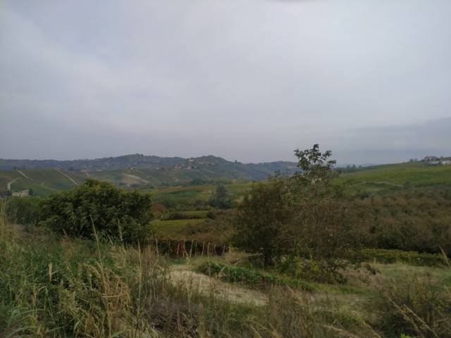 Casa indipendente a Mango in Borgata Olano, 2 - Foto 3