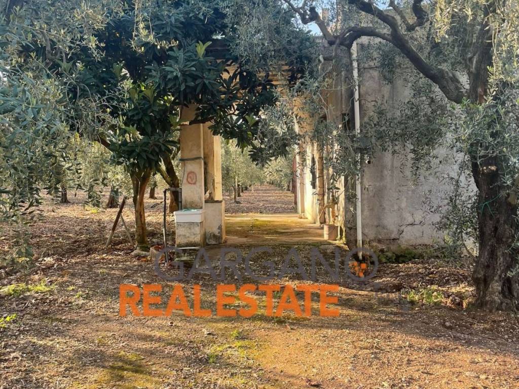 Terreno a Vieste in Località Monticello - Foto 4