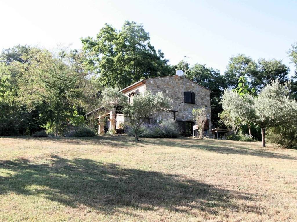 Rustico / casale a Montieri - Foto 2