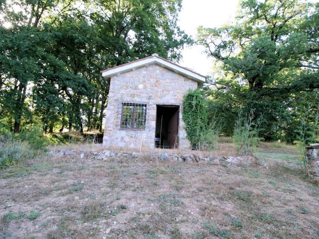 Rustico / casale a Montieri - Foto 5