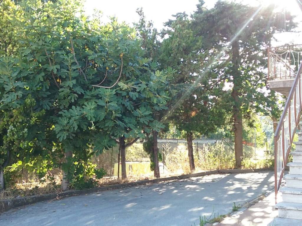 Casa indipendente a Cingoli - Foto 5