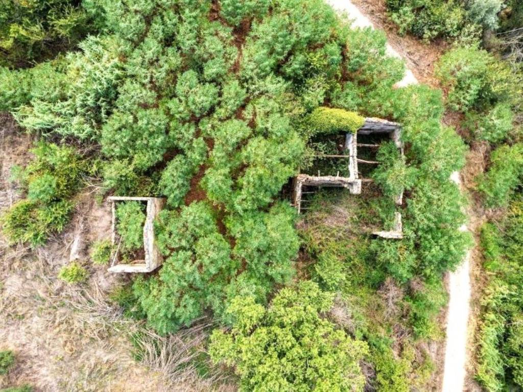 Rustico / casale a Asciano in Monte Sante Marie, Km 0 - Foto 4
