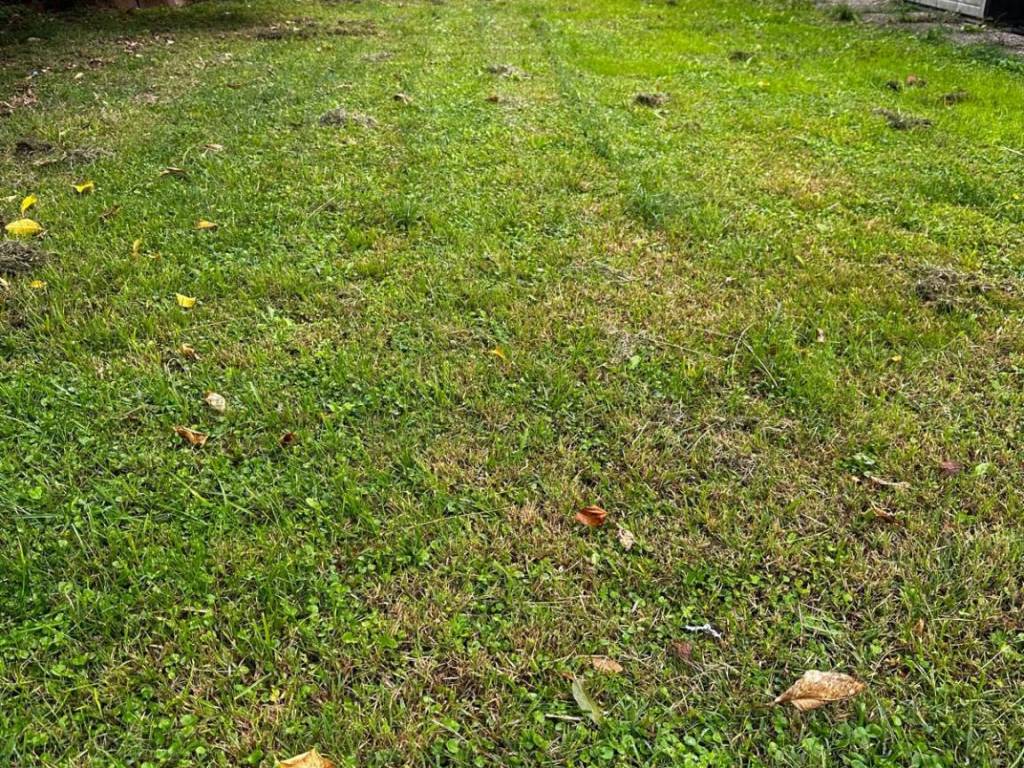 Terreno a Venezia in Via Malamocco - Foto 3