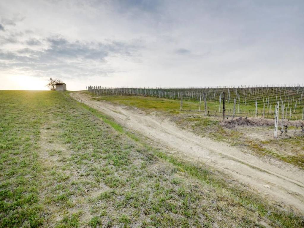 Terreno a Costigliole d'asti in Strada Giacchetti - Foto 2