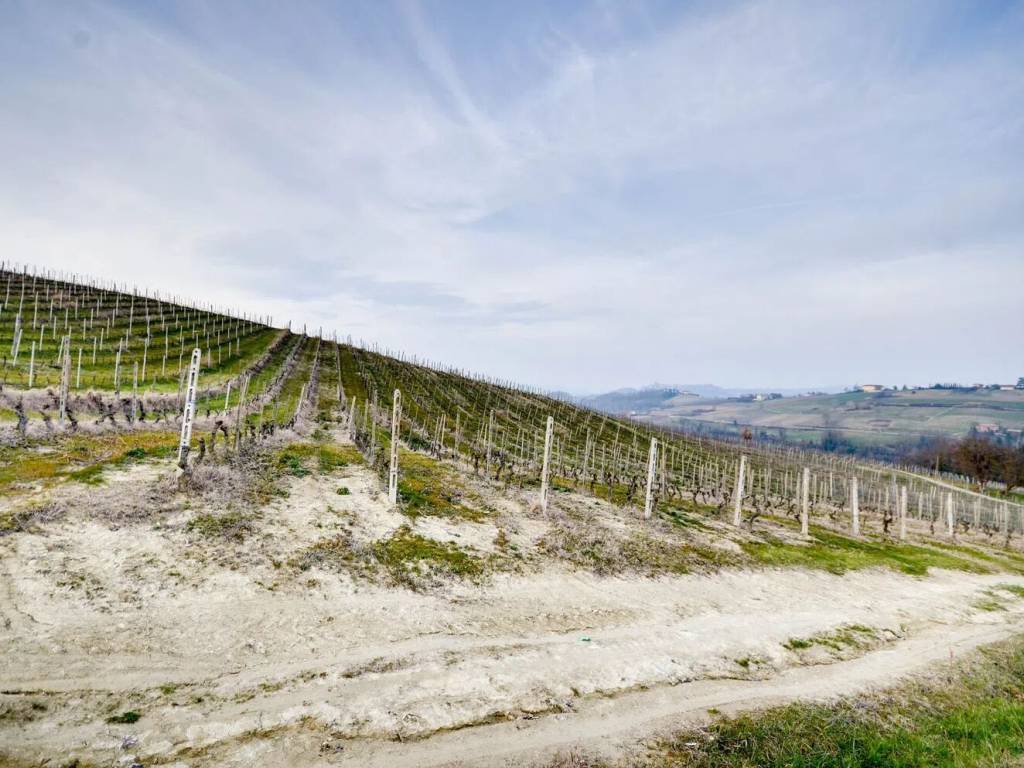 Terreno a Costigliole d'asti in Strada Giacchetti - Foto 3