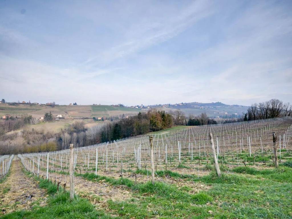 Terreno a Costigliole d'asti in Strada Giacchetti - Foto 4
