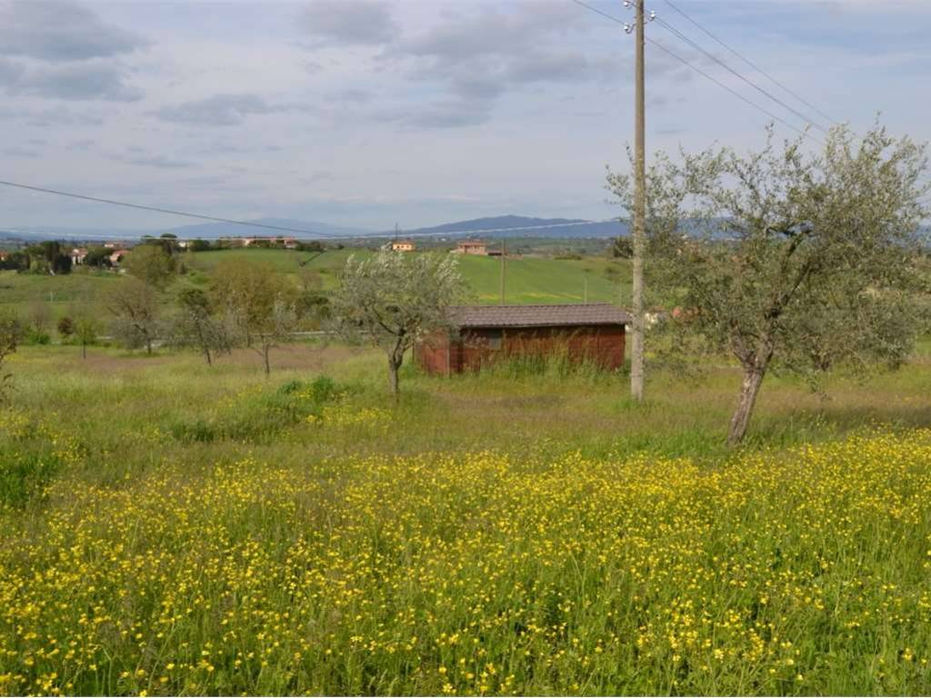 Immobile a Lucignano - Foto 5