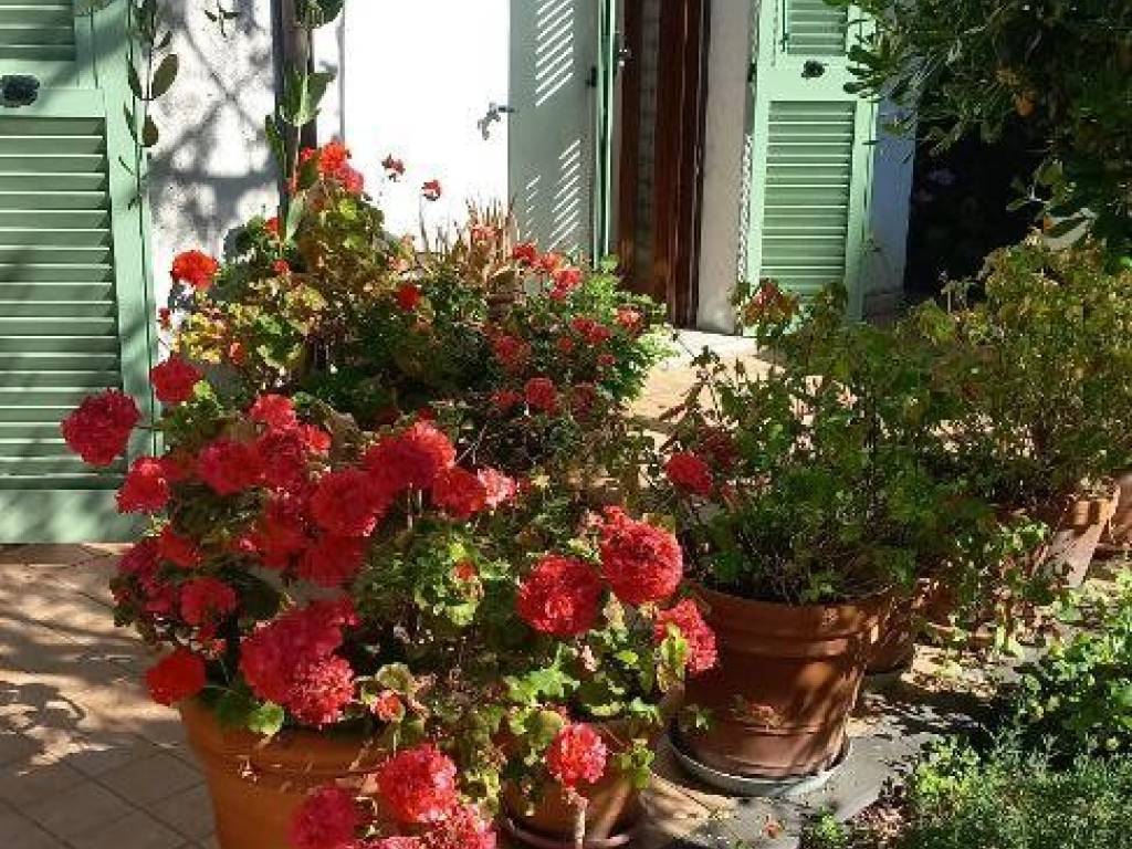 Villa a Taggia in Via Cristoforo Colombo - Foto 4