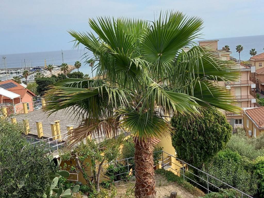 Villa a Andora in Via Sant'Ambrogio - Foto 2