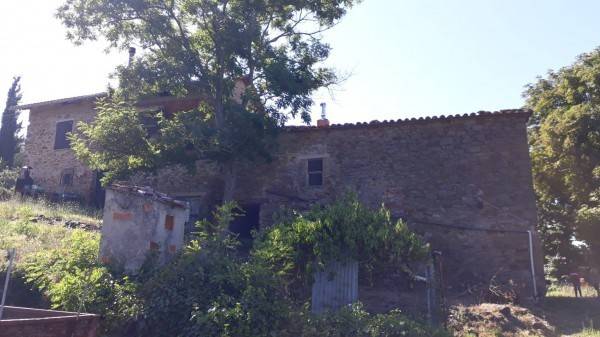 Rustico / casale a Passignano sul trasimeno - Foto 2