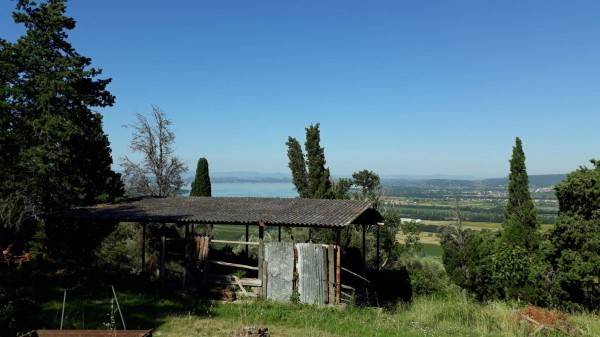 Rustico / casale a Passignano sul trasimeno - Foto 4