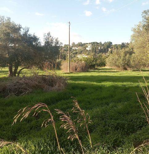 Terreno a Caltanissetta in Via Due Fontane - Foto 2