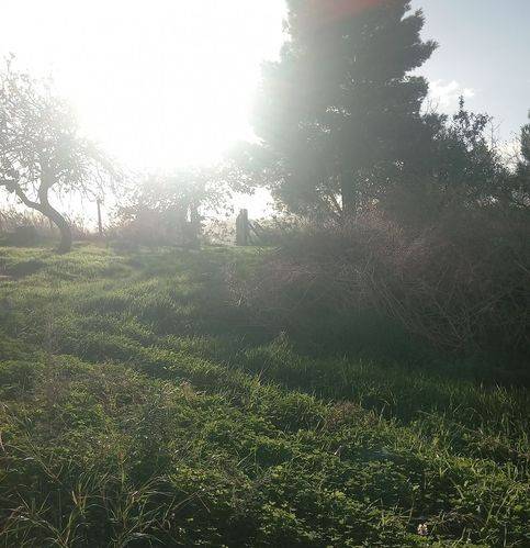 Terreno a Caltanissetta in Via Due Fontane - Foto 3