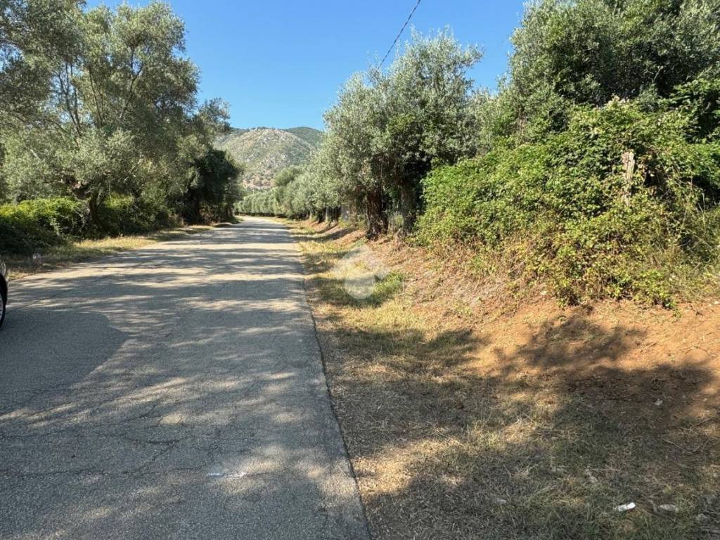 Terreno a Venafro in Strada Bonifica Romana - Foto 2
