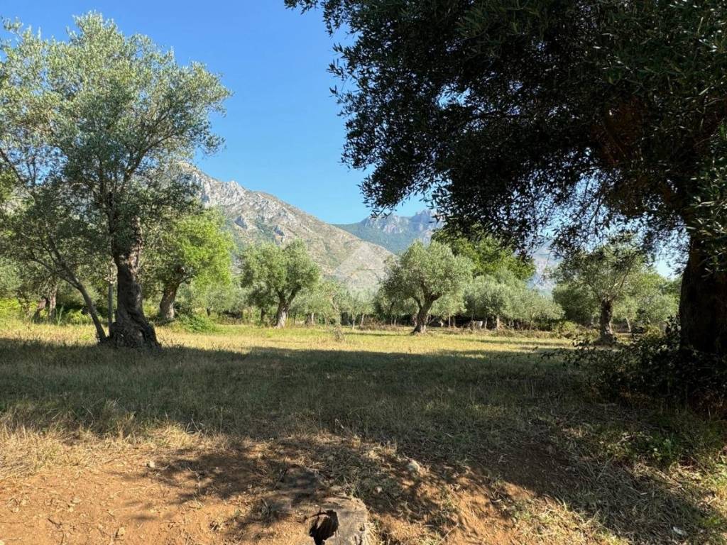Terreno a Venafro in Strada Bonifica Romana - Foto 3