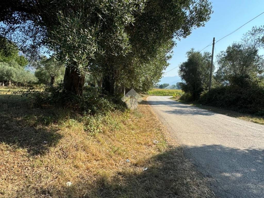 Terreno a Venafro in Strada Bonifica Romana - Foto 4