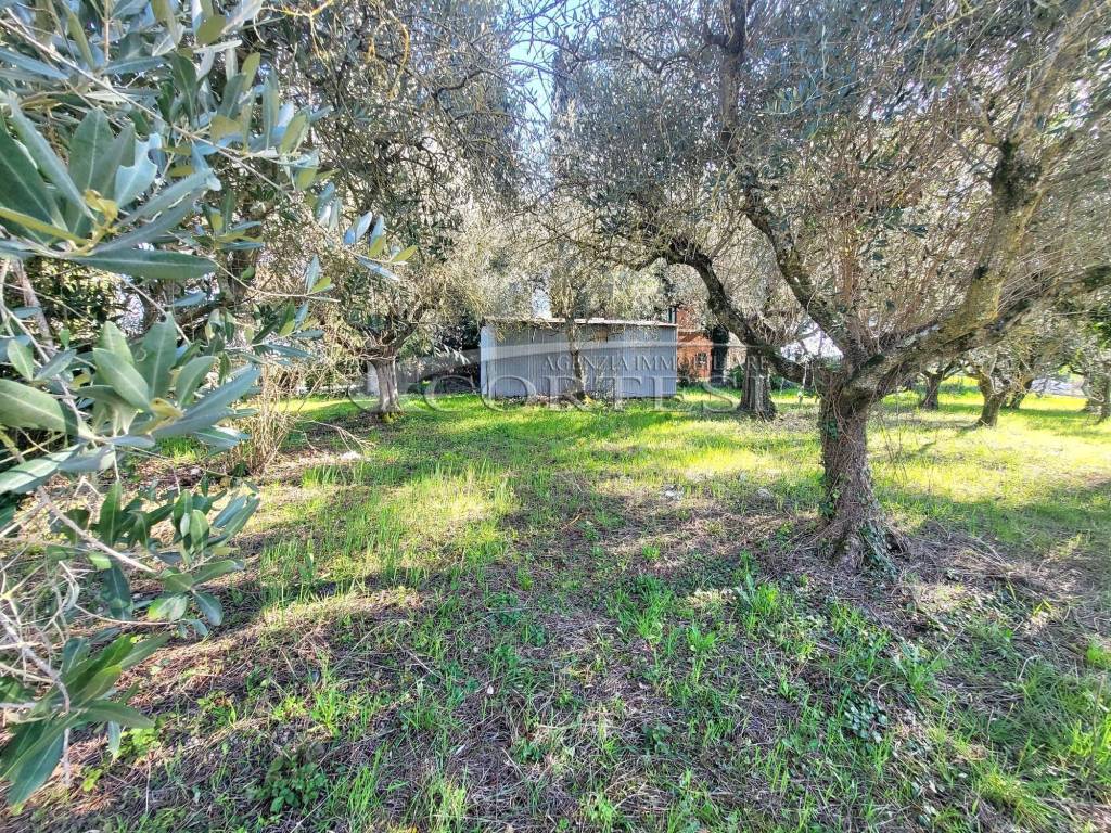 Rustico / casale a Perugia in Strada di Sant'Egidio, 3 - Foto 5