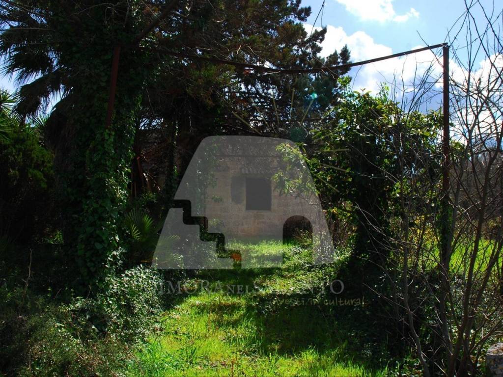 Rustico / casale a Specchia in Strada Provinciale di Taurisano - Foto 2