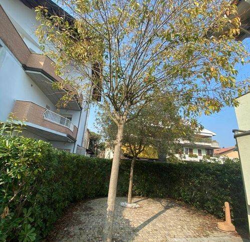 Appartamento a Cervia in Viale Cristoforo Colombo 92 - Foto 2