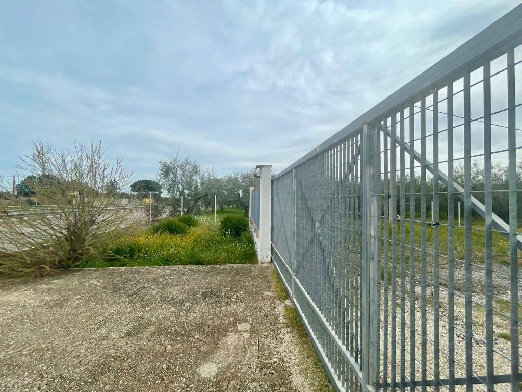 Terreno a Barletta - Foto 2