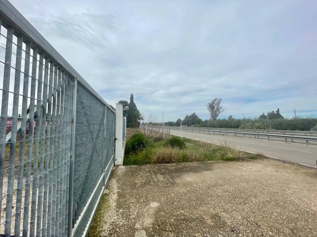Terreno a Barletta - Foto 3